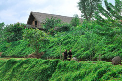 Nâng tầm chất lượng sản phẩm để tạo sức hút cho du lịch