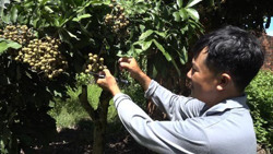 Huyện vùng biên nỗ lực giảm nghèo