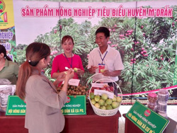 Làm giàu từ trồng chanh dây và nuôi heo rừng lai