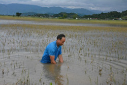 Mưa lũ gây thiệt hại nặng về người và tài sản