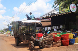 Siết chặt quản lý thuế mua bán sầu riêng
