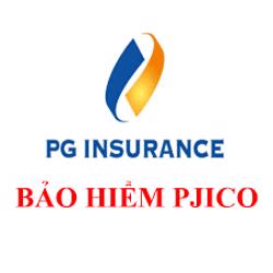 CÔNG TY BẢO HIỂM PJICO ĐĂK LẮK TUYỂN DỤNG VỊ TRÍ: TRƯỞNG PHÒNG KẾ TOÁN