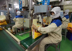 Vì sao gạo Việt xuất khẩu vượt trội?