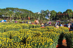 Niêm yết giá tại chợ hoa Tết, tại sao không?