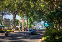 Nâng "chất" nông thôn mới