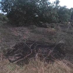 Dự đoán nguyên nhân mặt đất liên tục bốc cháy ở Đắk Lắk