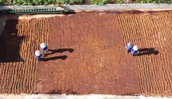 Các dự án ODA góp phần thay đổi bộ mặt nông nghiệp, nông thôn Đắk Lắk