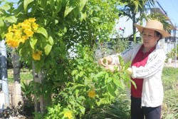 Làm đẹp cảnh quan nhờ những tuyến đường hoa