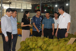 Huyện Krông Pắc: Thành lập mới 20 hợp tác xã trong giai đoạn 2021 – 2023