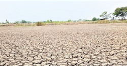 Nguy cơ thiếu nước ngọt cục bộ tại miền Trung, Tây Nguyên