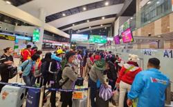 Hãng hàng không "đua" nhập máy bay mới, giá vé Tết có giảm?