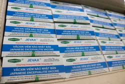 Kịp thời cung ứng trở lại các vaccine tiêm chủng mở rộng