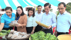 Huyện Krông Búk: Bức tranh kinh tế - xã hội đa sắc màu