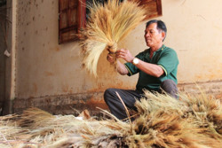 Nghề làm chổi đót của người Bru - Vân Kiều - Vân Kiều