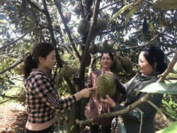 Huyện Cư M’gar: Liên kết tạo nguồn lực để phát triển