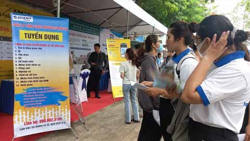 Thị trường lao động đang sáng lên