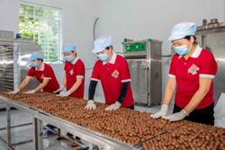 Doanh nghiệp kinh doanh nông sản tất bật kết nối đơn hàng