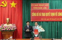 UBND tỉnh trao các quyết định về công tác cán bộ