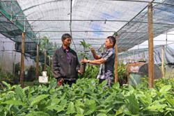 “Đổi đời” từ vườn ươm cây giống