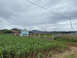 Chấm dứt hoạt động một dự án đầu tư tại Cụm công nghiệp Cư Kuin