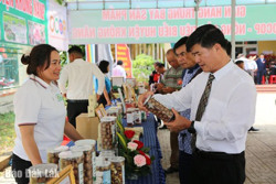 Phát triển Krông Năng toàn diện và bền vững