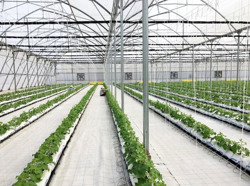 'Chìa khóa' của nền nông nghiệp bền vững