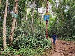 Cơ hội lớn của Đắk Lắk