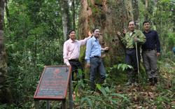 Cả nước có thêm 7 vườn quốc gia