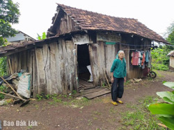 Cám cảnh người phụ nữ già yếu sống trong căn nhà dột nát