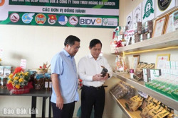 Huyện Krông Búk: Khai trương Điểm giới thiệu và bán sản phẩm OCOP tại chợ mới Pơng Drang