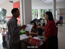 Tạm dừng cấp, đổi giấy phép lái xe từ 15/10