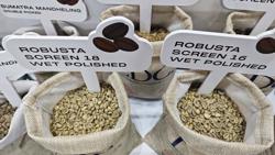 Kịch tính giá cà phê cuối tuần