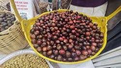 Giá cà phê tăng cao, các công ty kinh doanh cà phê ra sao?