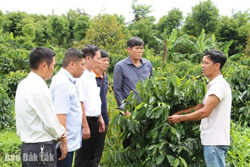 Những nông dân thời 4.0