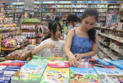 Chỉ số giá tiêu dùng 9 tháng năm 2024 tăng 5,36%