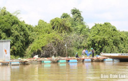 Sản xuất thủy sản giảm mạnh