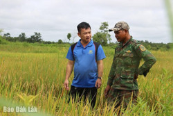 Chương trình 1719: Thêm lời giải cho bài toán thủy lợi ở vùng biên