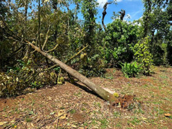 Thiên tai - Gánh nặng của nông dân Đắk Nông