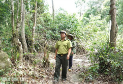 Công tác quản lý, bảo vệ rừng ở Krông Bông: “Lỗ hổng” nguồn nhân lực