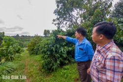 Huyện Krông Năng đẩy mạnh tiến độ thu thập dữ liệu nông hộ