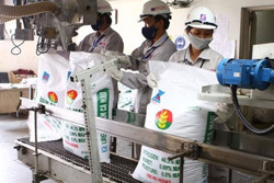 Áp thuế VAT 5% đối với mặt hàng phân bón: Người nông dân có được hưởng lợi?