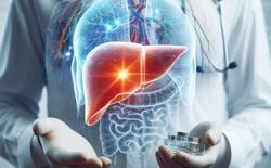 Phát hiện đột phá về "chìa khóa" đẩy lùi gan nhiễm mỡ