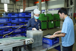 Tập trung đưa vốn vào sản xuất, kinh doanh