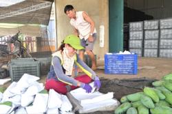 Nông dân Đắk Nông bắt nhịp chuyển đổi số