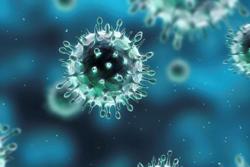 1 ca tử vong do cúm A/H1, Bộ Y tế khuyến cáo về cúm mùa