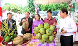 Cấp chứng nhận nhãn hiệu "Sầu riêng Krông Năng"