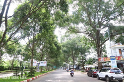 Du lịch qua những cung đường