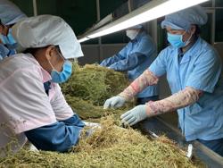 Loại bỏ thuốc y học cổ truyền từ động, thực vật nguy cơ tuyệt chủng