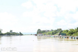 Để phát triển bền vững nghề nuôi cá lồng bè trên sông Sêrêpốk