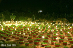 Bắt hoa "thức" chờ tết